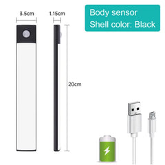Wireless Motion Sensor Light